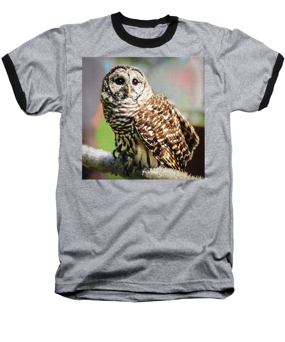 Barred Owl Baseball T-Shirt featuring the photograph Barred Owl by Robert Mitchell