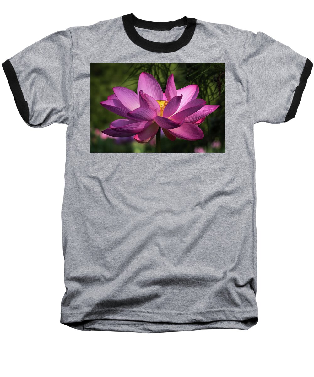 Photograph Baseball T-Shirt featuring the photograph Be Like the Lotus by Cindy Lark Hartman