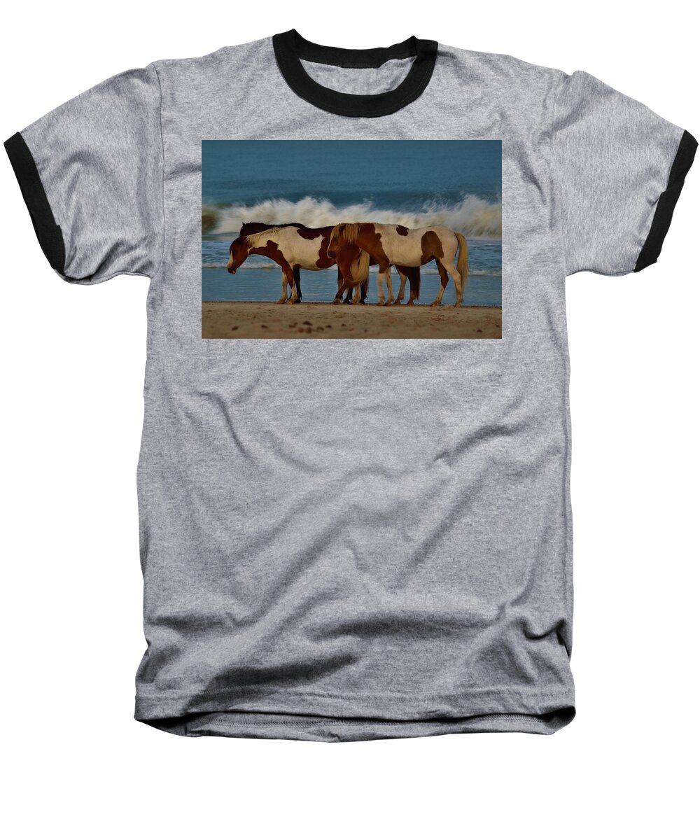 Beach Bum Pics Baseball T-Shirt featuring the photograph Beach Bum Ponies by Billy Beck