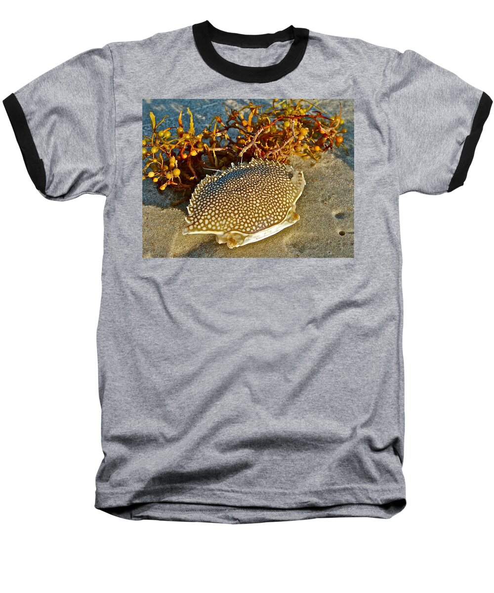 Sea Baseball T-Shirt featuring the photograph Beach Combing by Diana Hatcher
