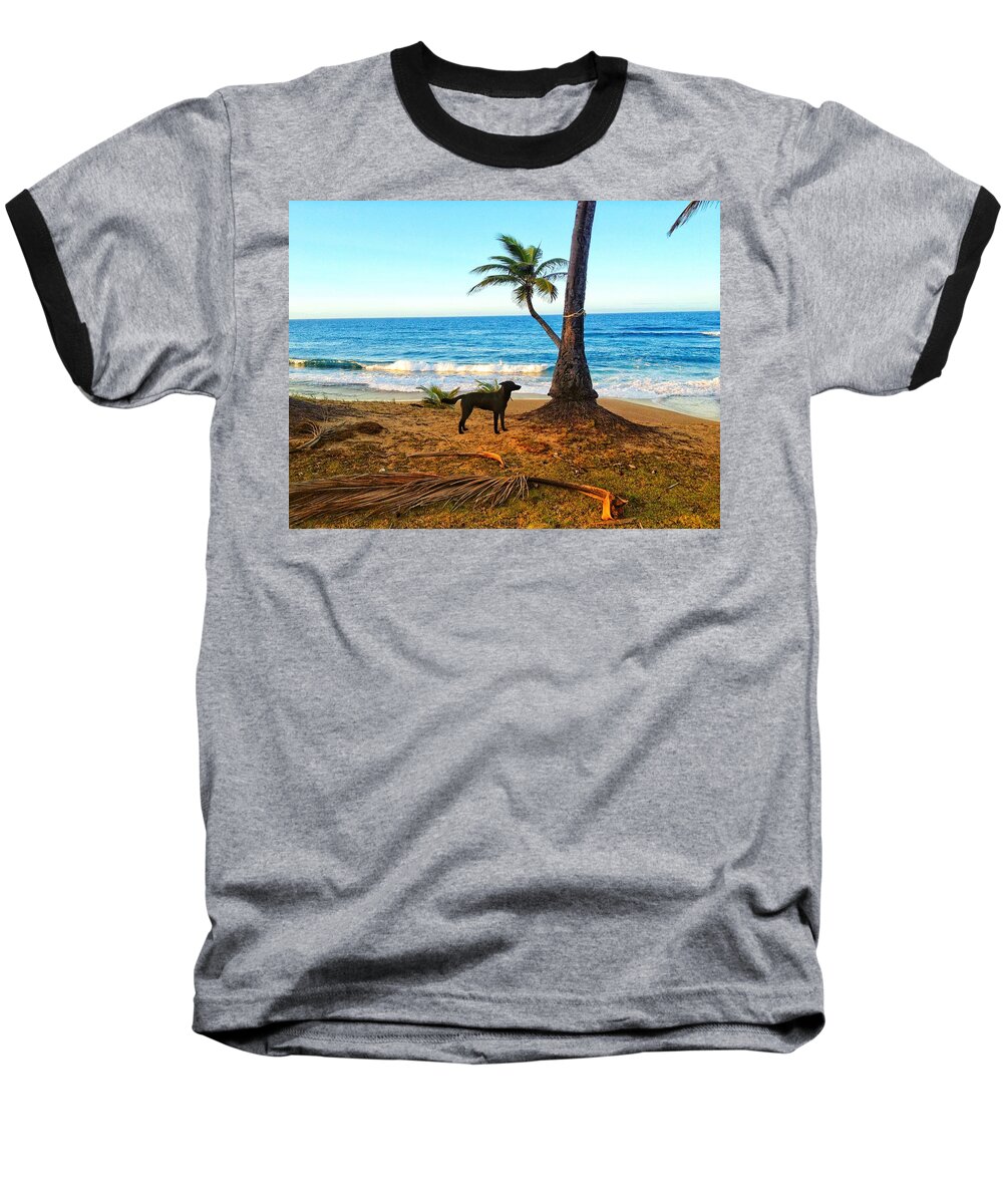 Dog Baseball T-Shirt featuring the photograph Beach Dog by Joseph Caban