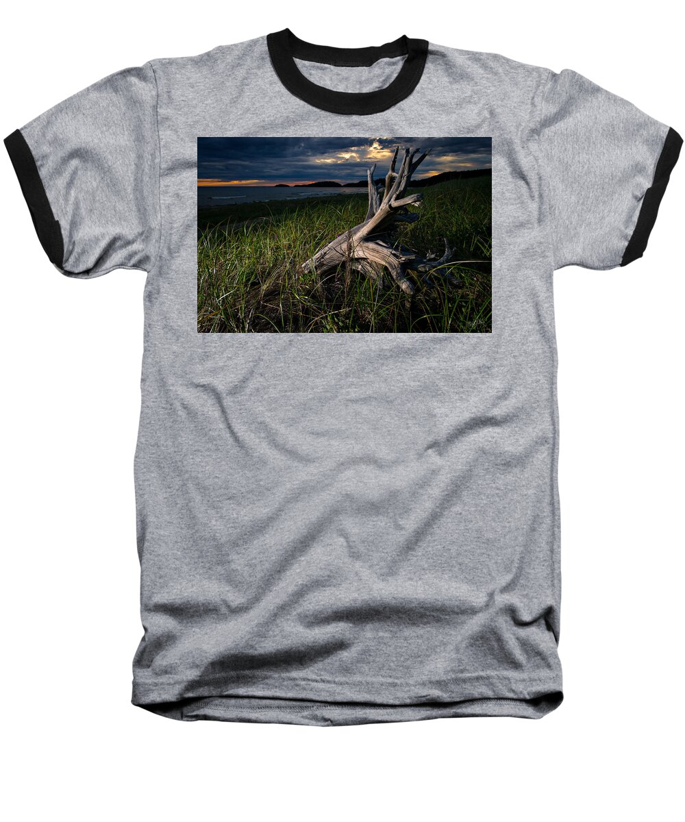 Driftwood Baseball T-Shirt featuring the photograph Beached by Doug Gibbons