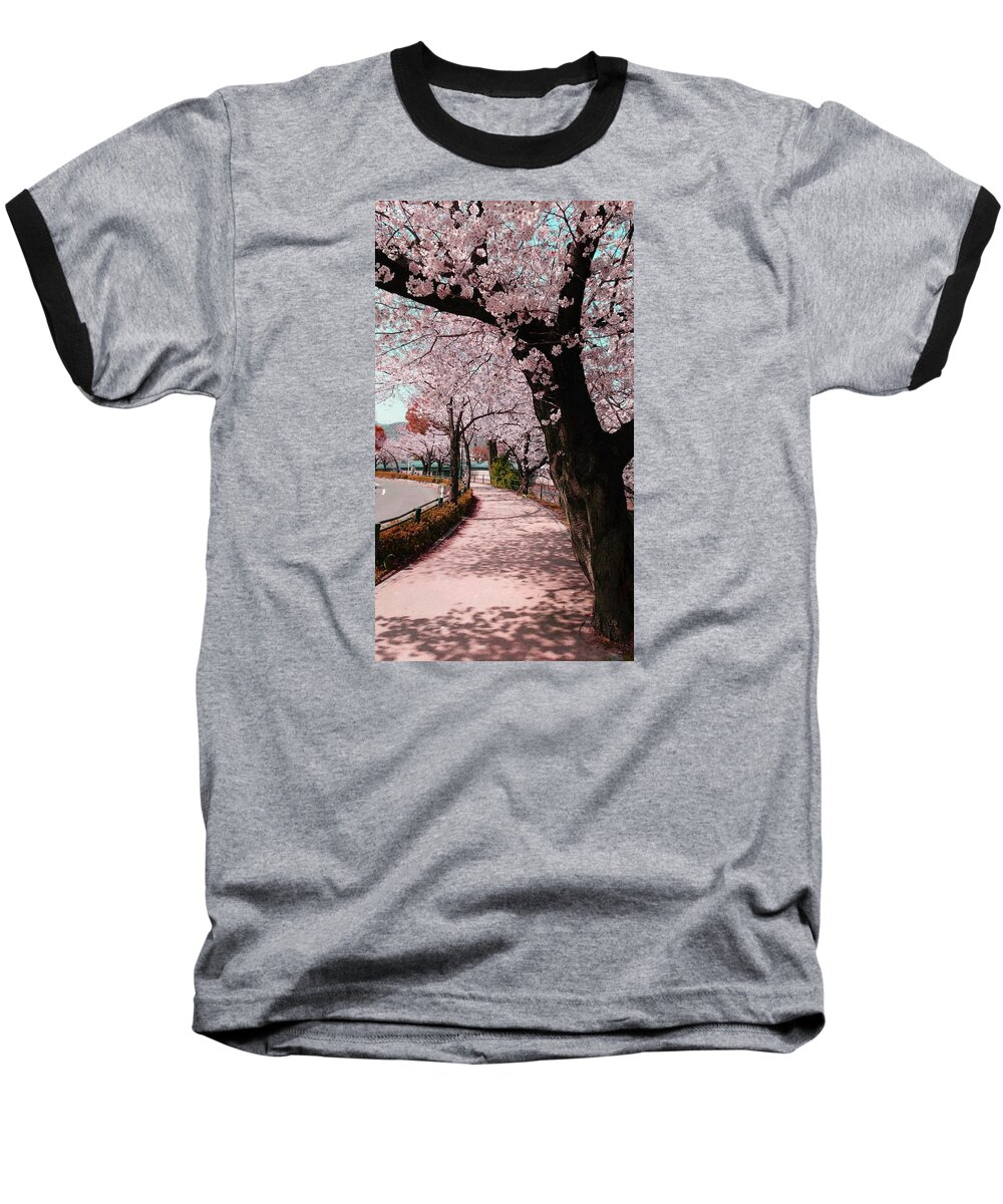 Photograph Baseball T-Shirt featuring the photograph Beatiful spring in Japan -Road filled with cherry blossom- by Roro Rop