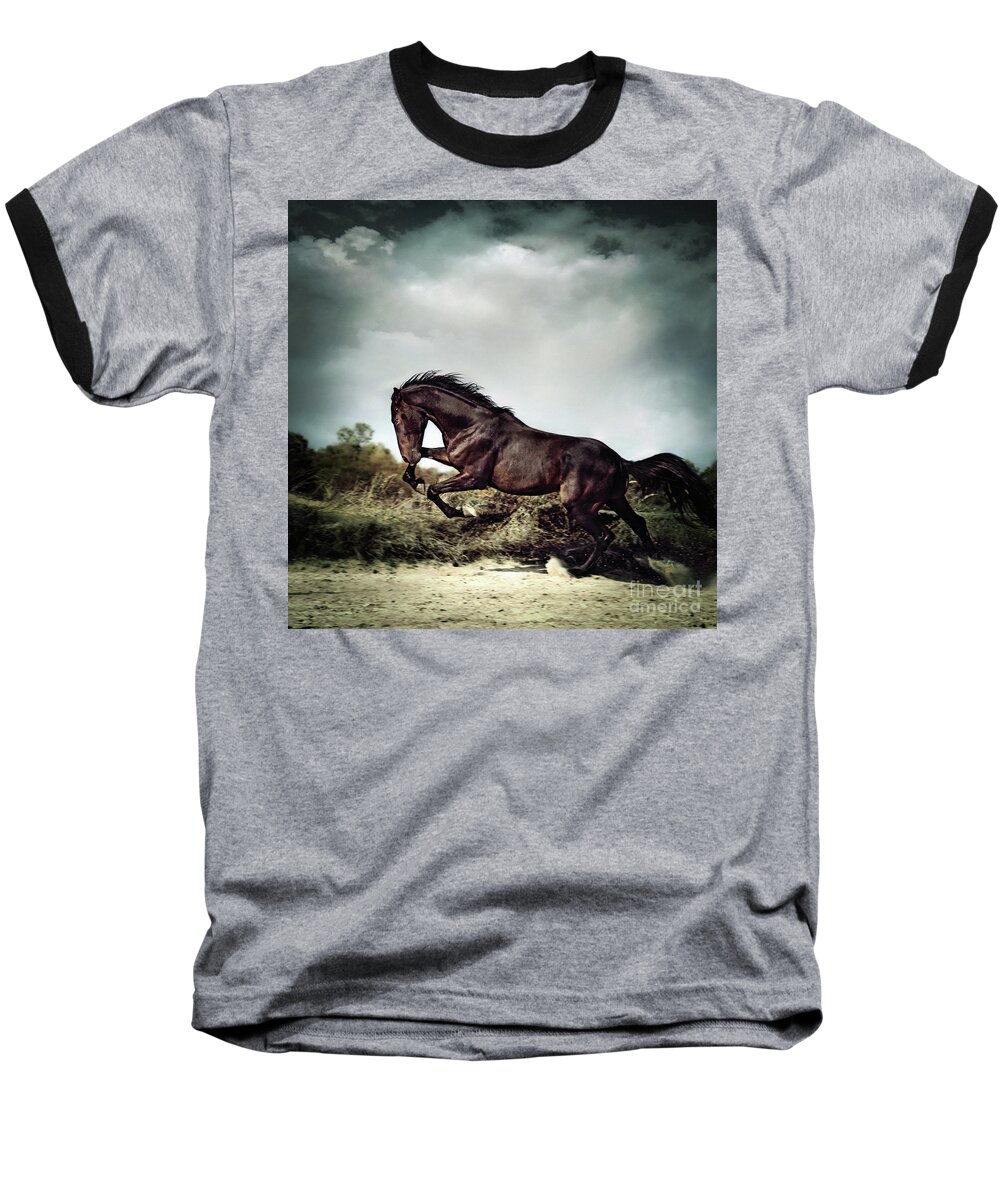 Horse Baseball T-Shirt featuring the photograph Beautiful black stallion horse running on the stormy sky by Dimitar Hristov