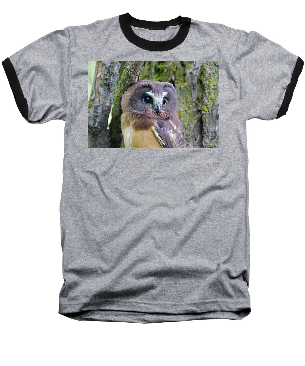 Mark Miller Photos Baseball T-Shirt featuring the photograph Beautiful Eyes of a Saw-whet Owl Chick by Mark Miller