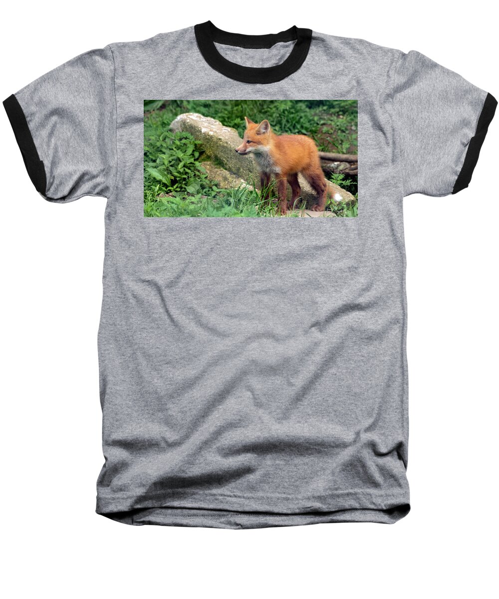 Red Fox Baseball T-Shirt featuring the photograph Beautiful Red Fox Cub by Sam Rino