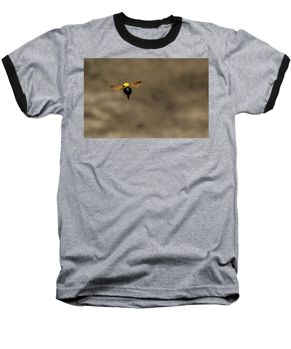 Bee Baseball T-Shirt featuring the photograph Bee Dance by Metaphor Photo
