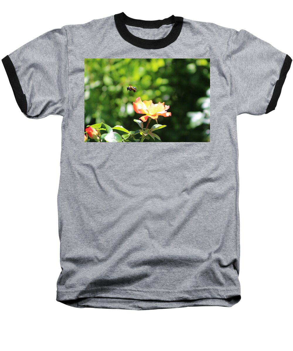 Honey Bee Baseball T-Shirt featuring the photograph Bee Flying from Peach Petal Rose by Colleen Cornelius