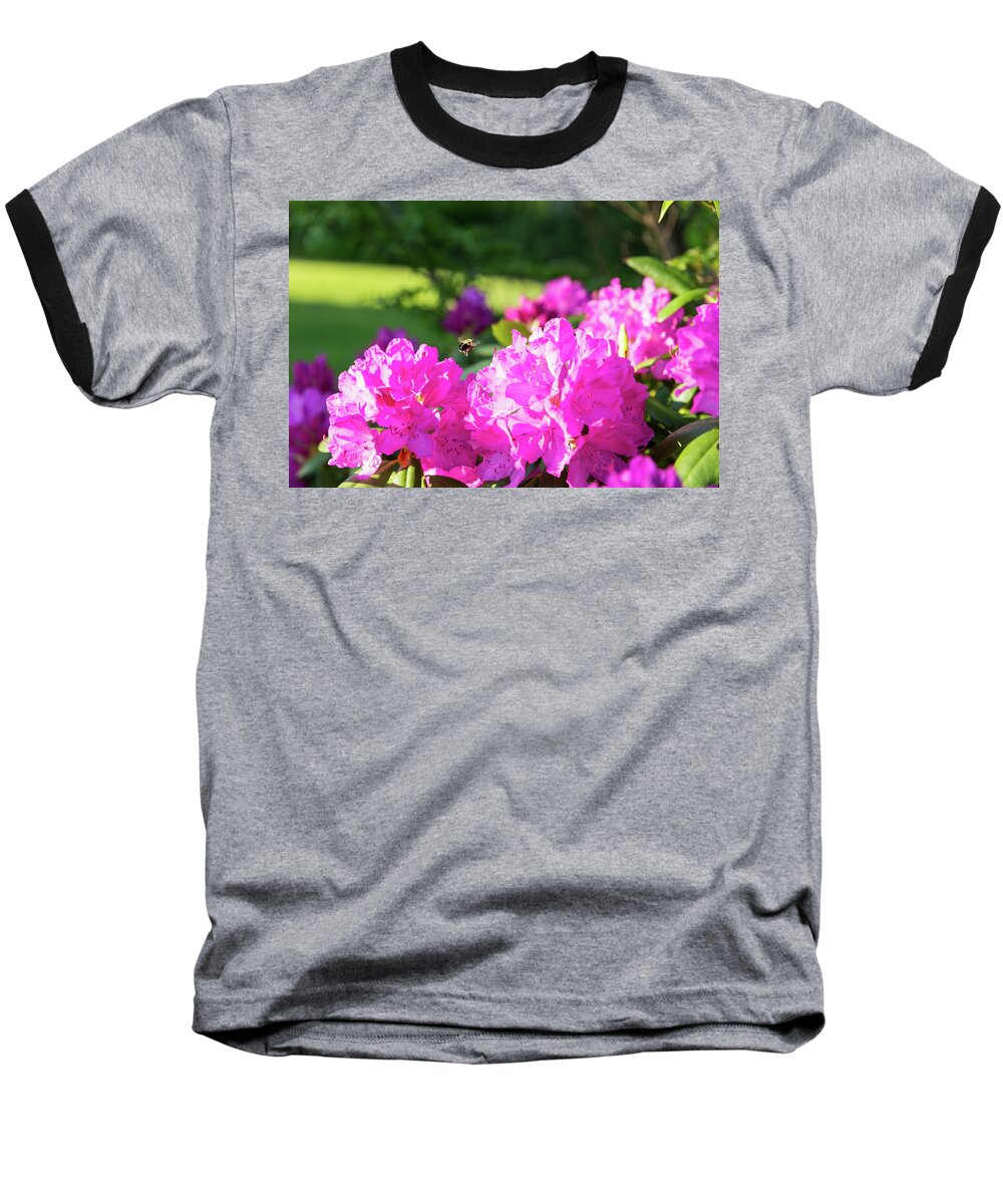 Bee Baseball T-Shirt featuring the photograph Bee Flying Over Catawba Rhododendron by D K Wall