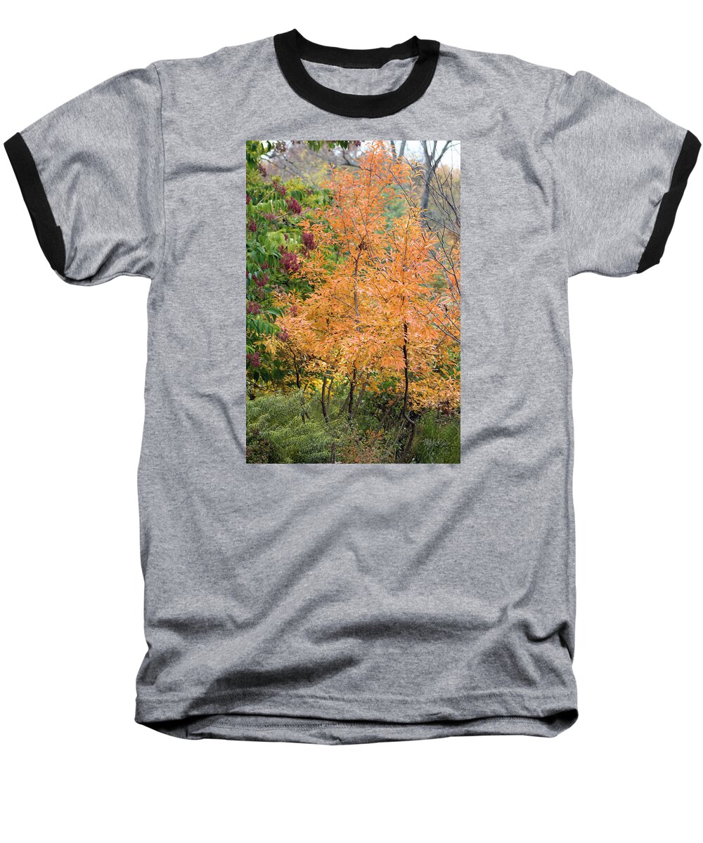 Flower Baseball T-Shirt featuring the photograph Before the Fall by Deborah Crew-Johnson