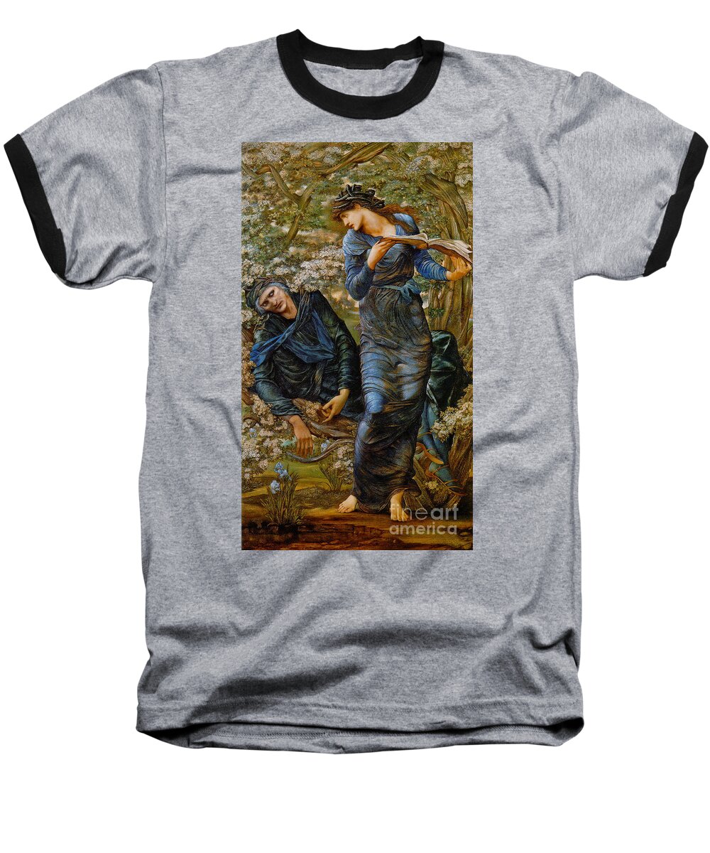 Beguiling Merlin 1873 Baseball T-Shirt featuring the photograph Beguiling Merlin 1873 by Padre Art