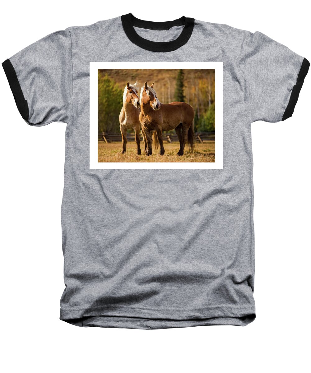 Horse Baseball T-Shirt featuring the photograph Belgian Draft Horses by Sharon Jones