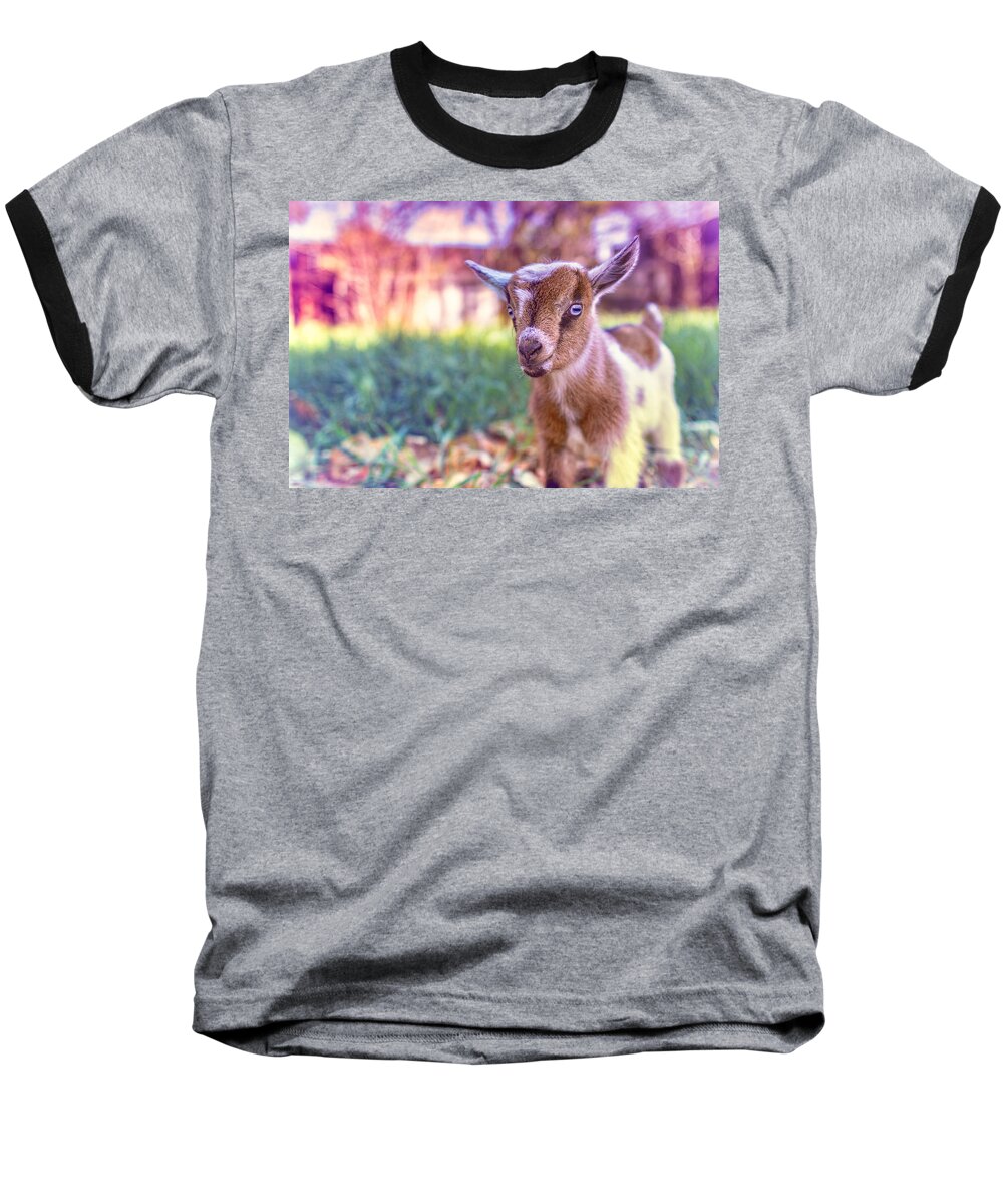 Goat Baseball T-Shirt featuring the photograph Bert by TC Morgan