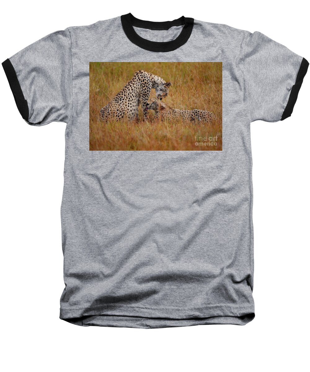 Cheetahs Baseball T-Shirt featuring the photograph Best Of Friends by Smart Aviation