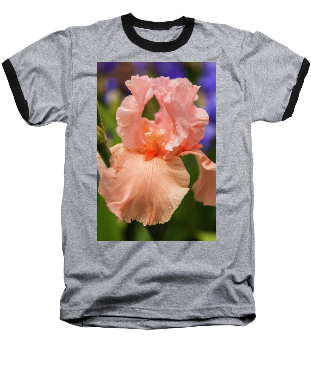 5dii Baseball T-Shirt featuring the photograph Beverly Sills Iris, 2 by Mark Mille