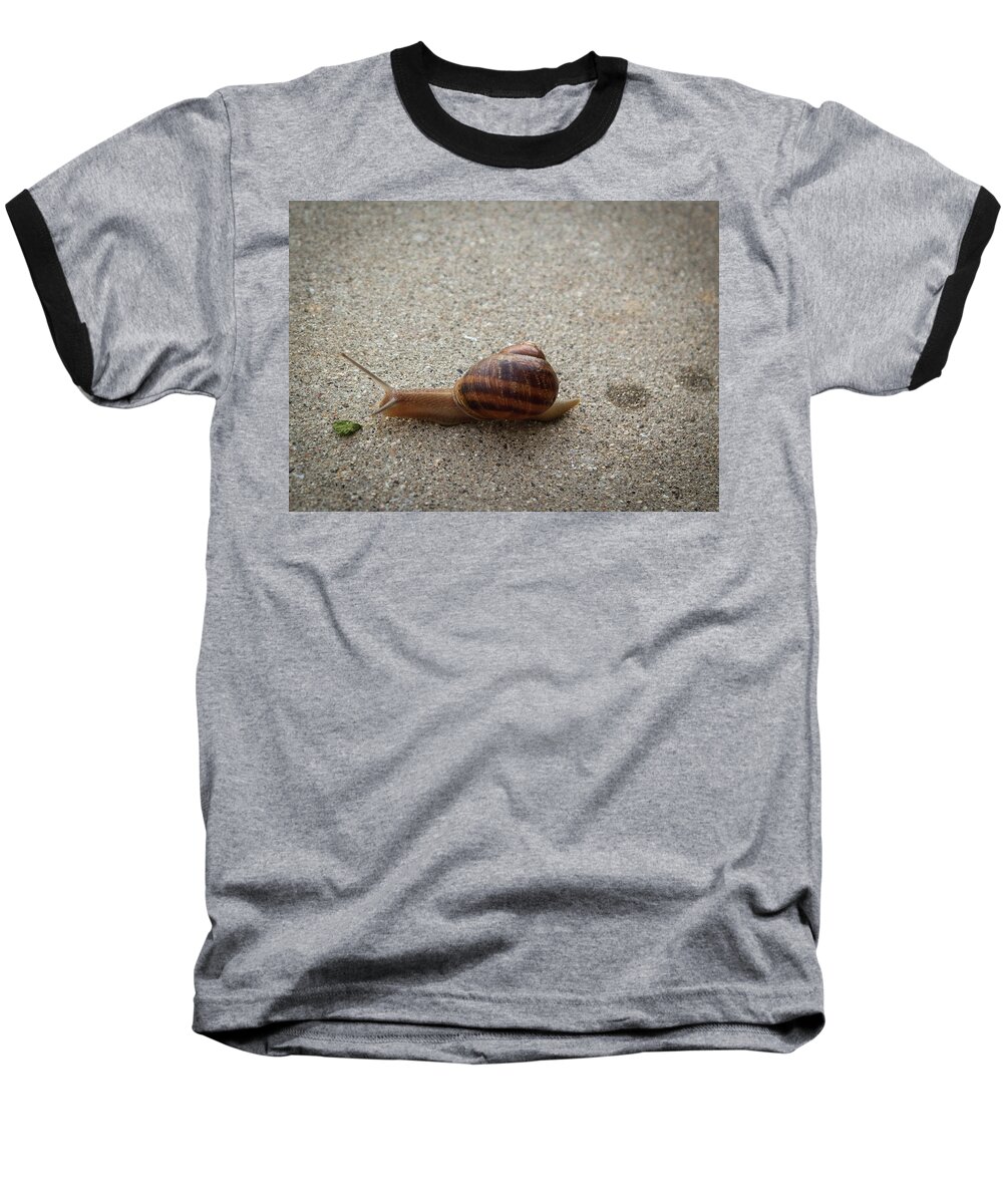 Snail Baseball T-Shirt featuring the photograph Big Salad by Alison Frank
