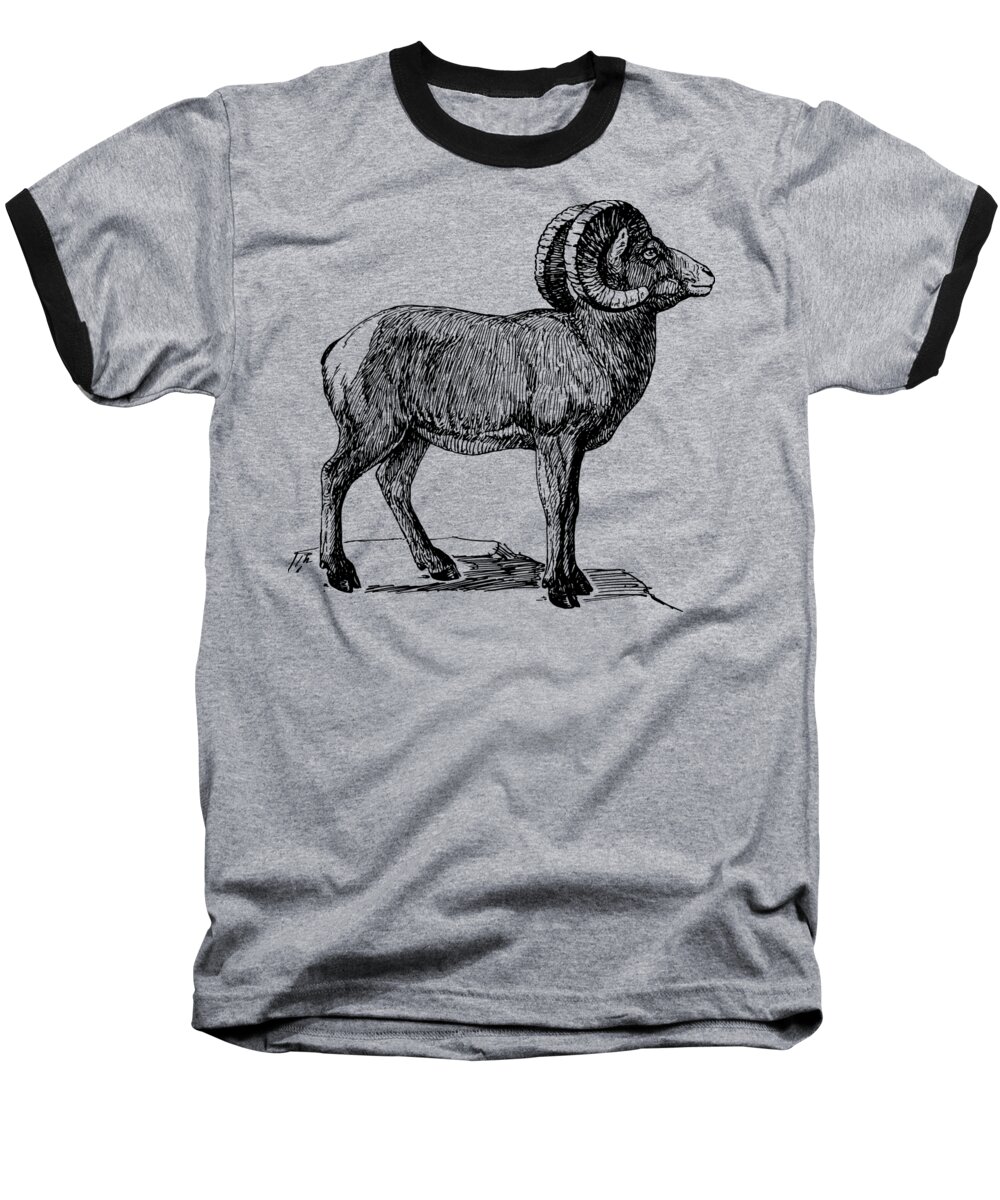 Bighorn Sheep Baseball T-Shirt featuring the mixed media Bighorn Sheep by Movie Poster Prints
