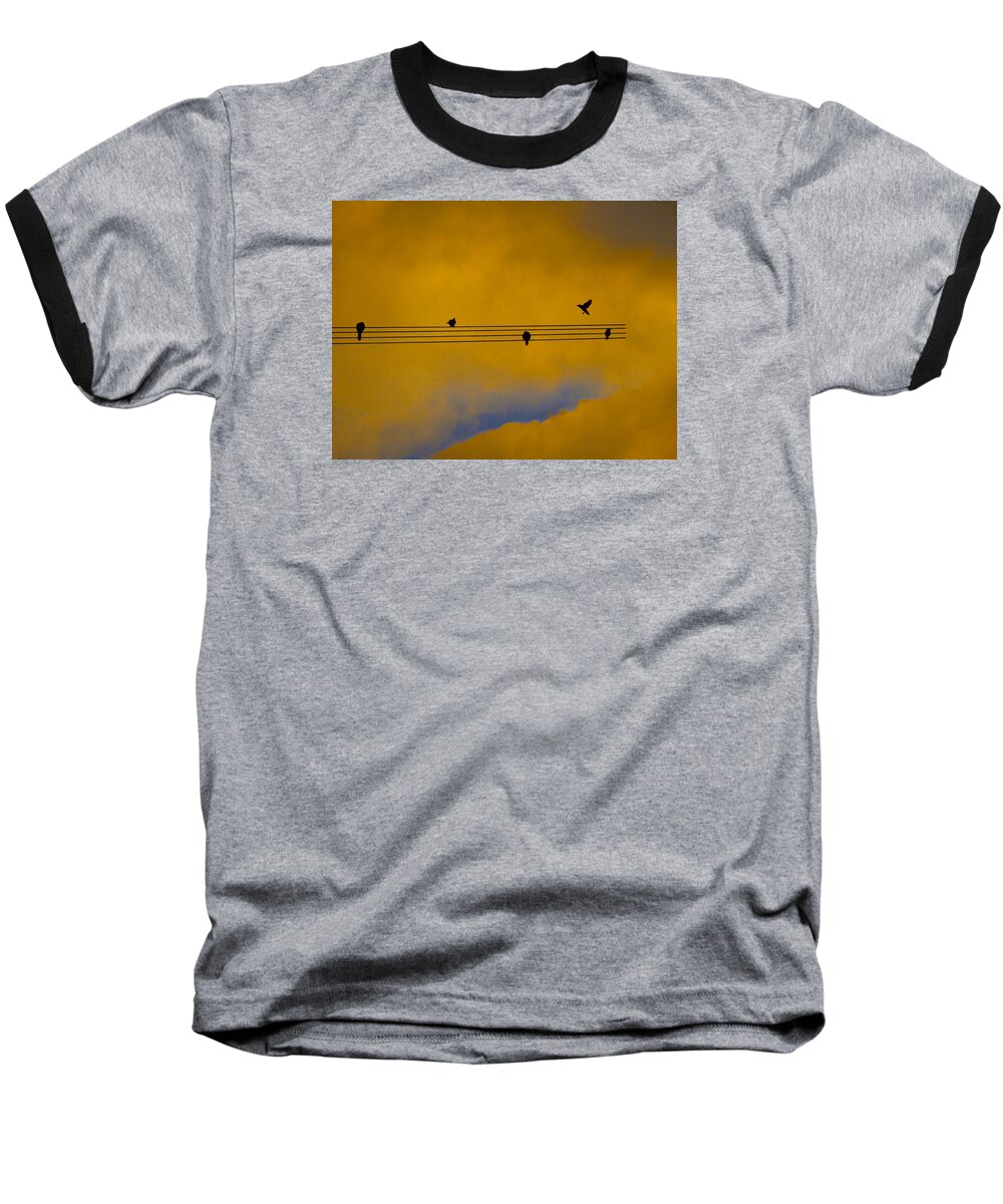 Bird Baseball T-Shirt featuring the photograph Bird Song by Mark Blauhoefer