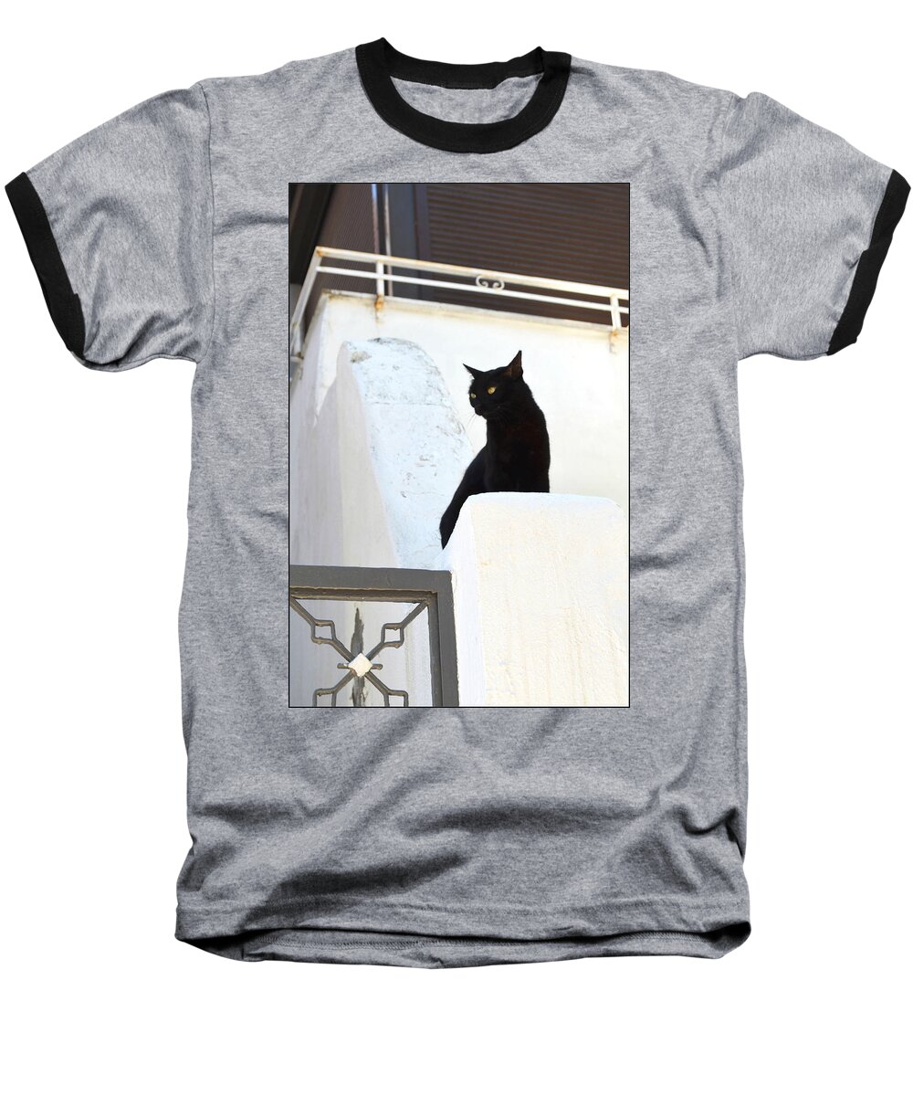 Cat Baseball T-Shirt featuring the photograph Black and white by Rumiana Nikolova