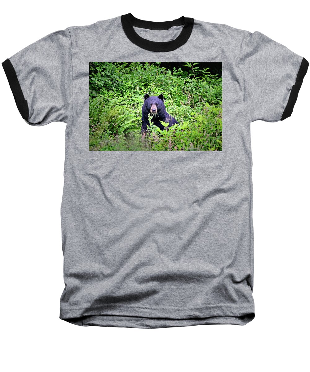 Bears Baseball T-Shirt featuring the photograph Black Bear Eating His Veggies by Peggy Collins