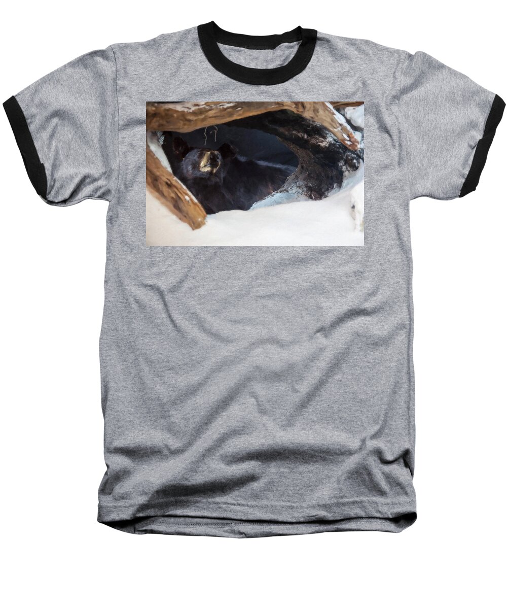 Black Bear Baseball T-Shirt featuring the digital art Black Bear in its winter den by Flees Photos