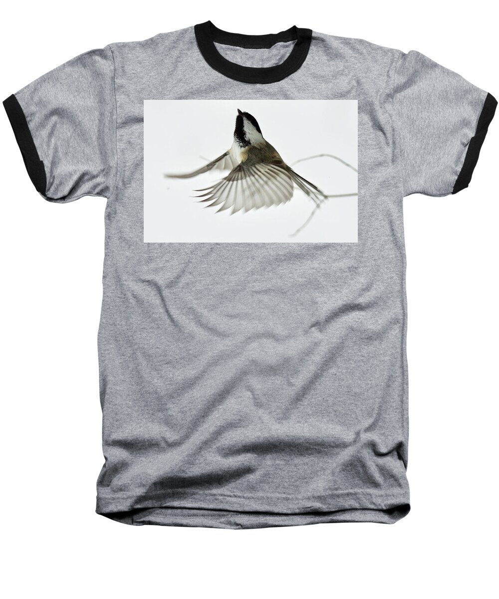 Chickadee Baseball T-Shirt featuring the photograph Black-capped Chickadee 6215 by Michael Peychich