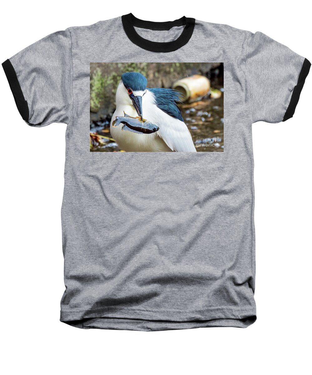 Heron Baseball T-Shirt featuring the photograph Black crowned night heron enjoying a fish by Sam Rino