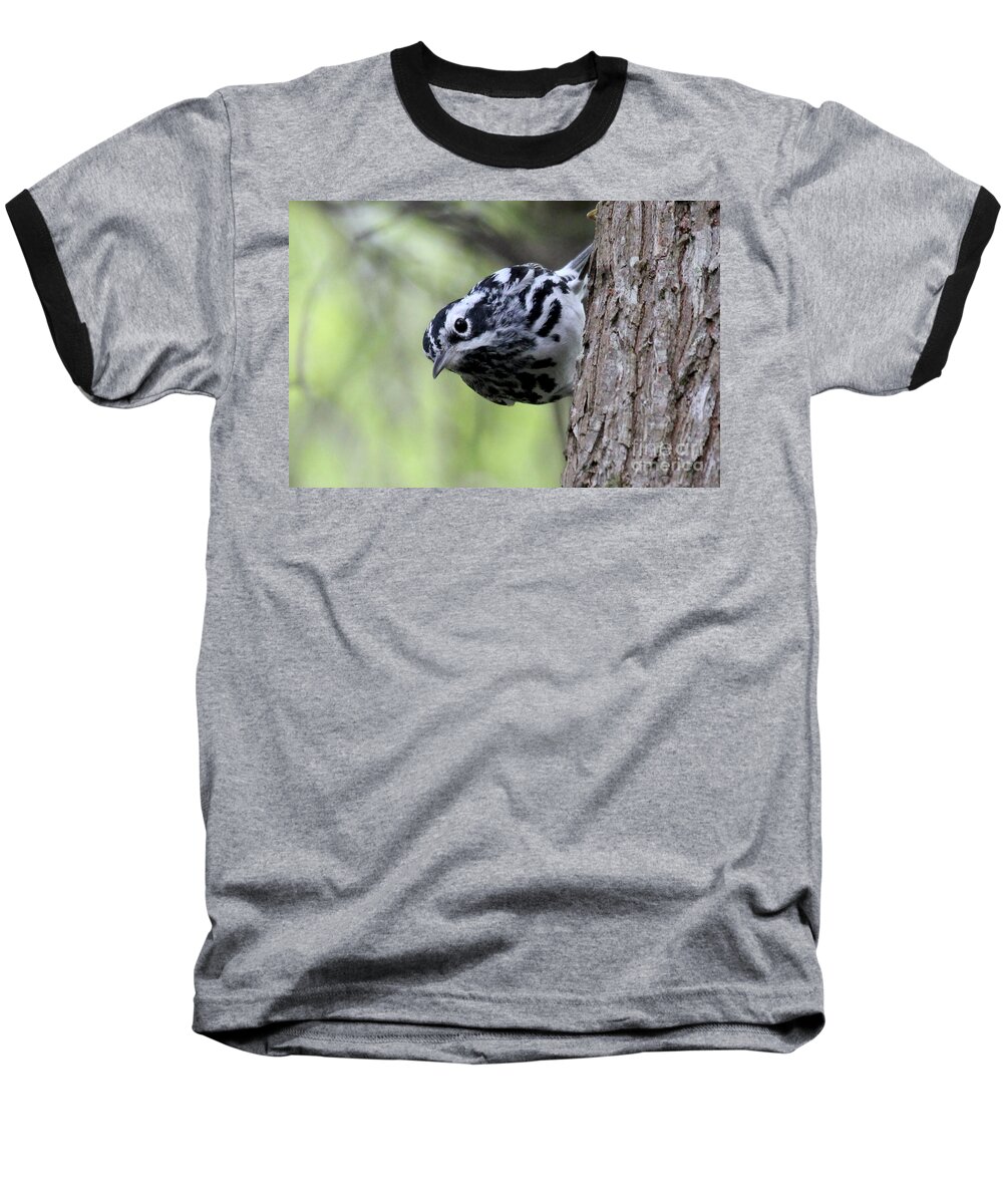 Black & White Warbler Baseball T-Shirt featuring the photograph Black-n-White Warbler by Meg Rousher