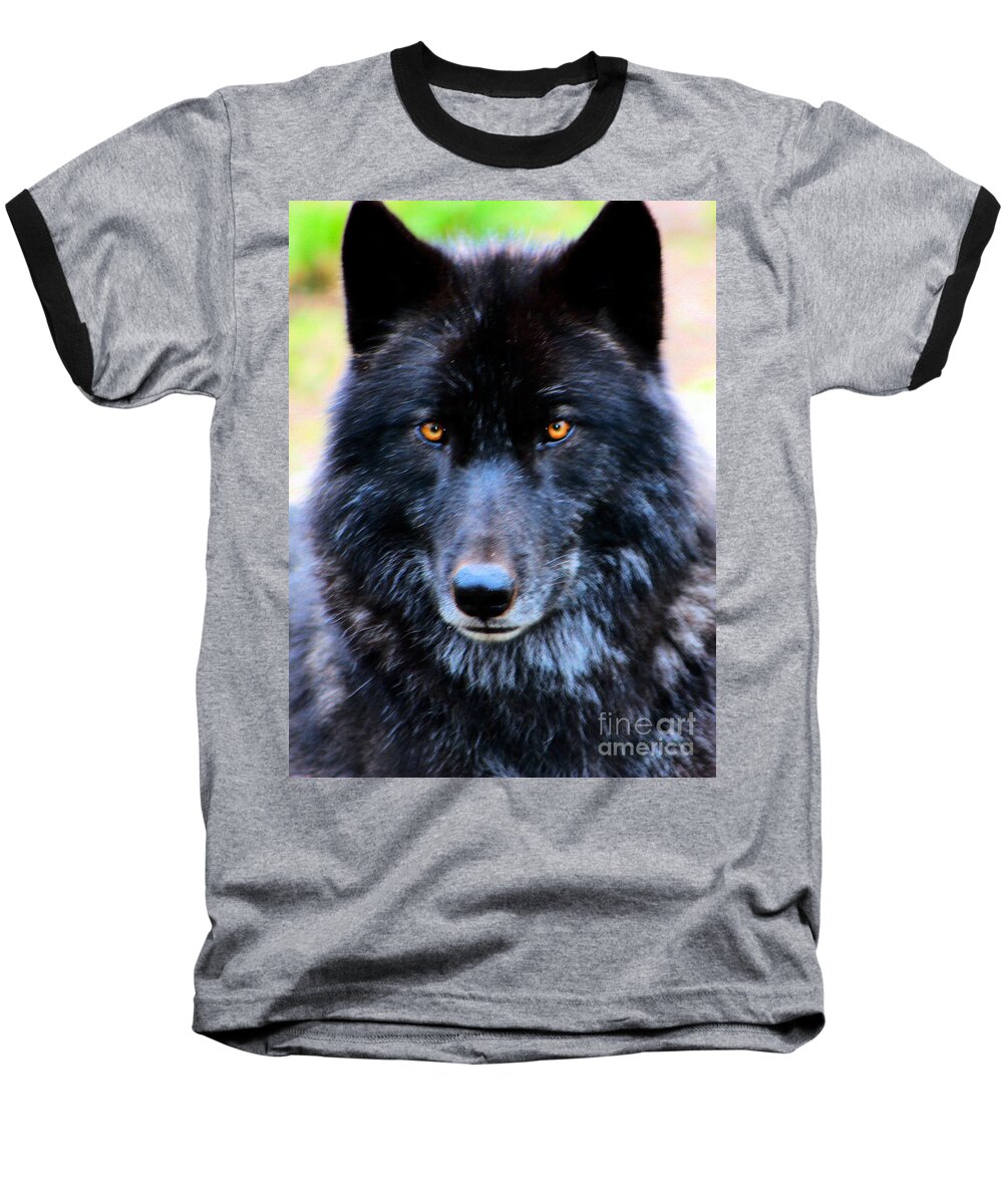 Wolf Baseball T-Shirt featuring the photograph Black Wolf by Nick Gustafson