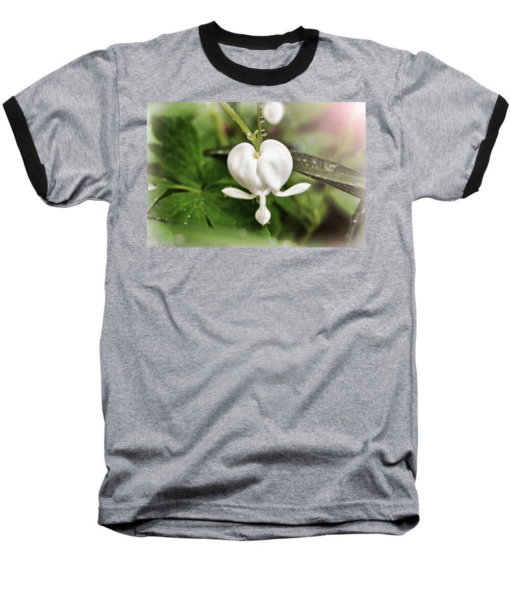 White Baseball T-Shirt featuring the photograph Bleeding Heart by Amber Flowers