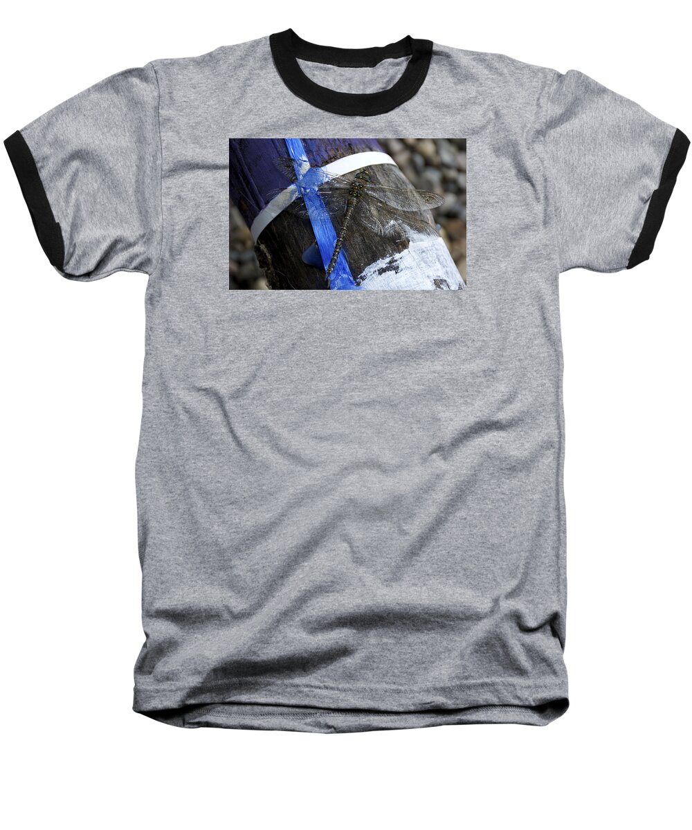 Dragon Fly Baseball T-Shirt featuring the photograph Blending In by Ellery Russell