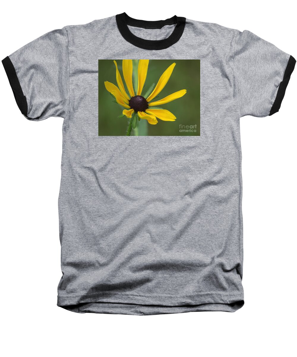 Flower Baseball T-Shirt featuring the photograph Blooming by Lili Feinstein