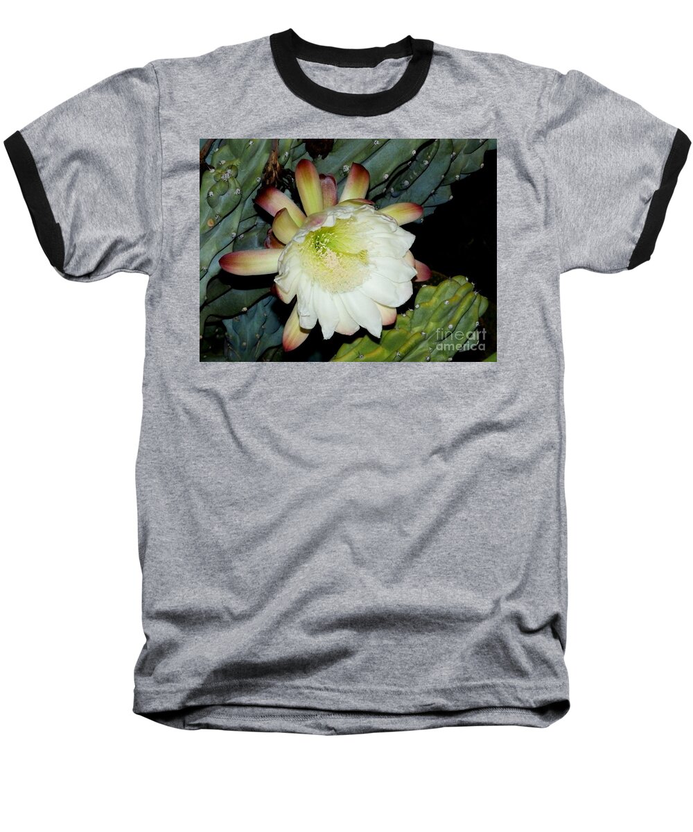 Flowers Baseball T-Shirt featuring the painting Blooming Night Cereus by Jayne Kerr