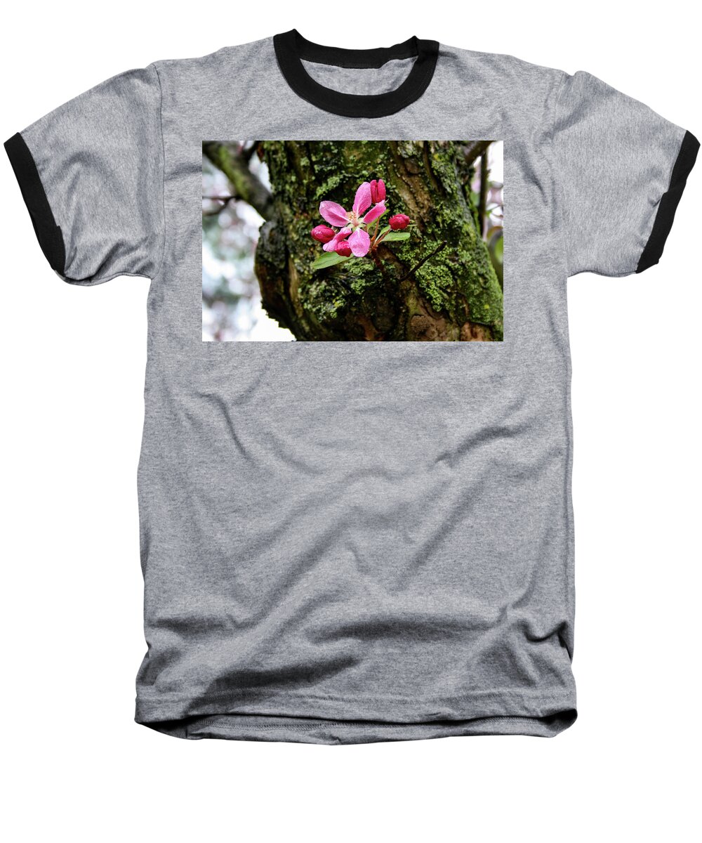 Flower Baseball T-Shirt featuring the photograph Blossom after rain by Matt Sexton
