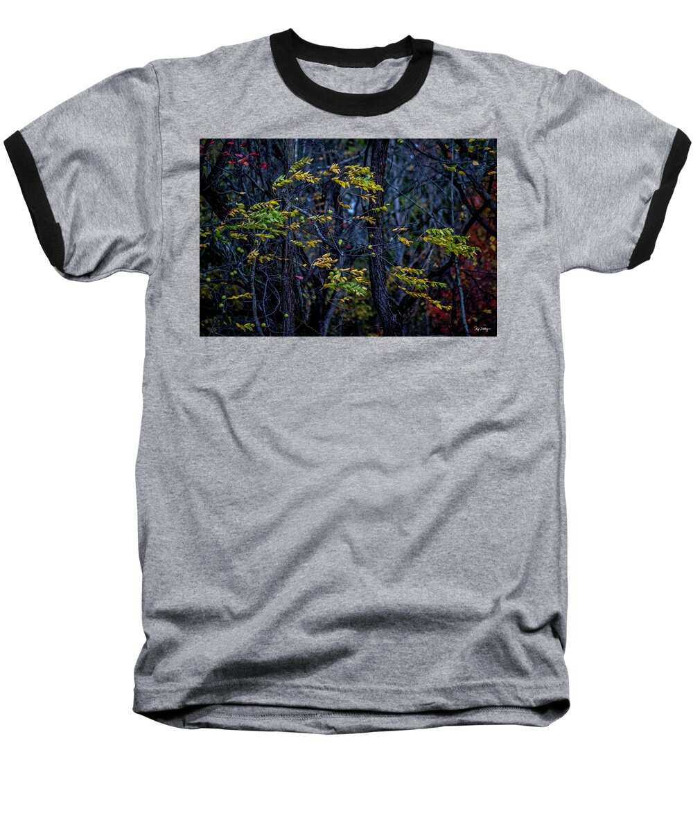 Leaves Baseball T-Shirt featuring the photograph Blowin' in the Wind by Skip Tribby
