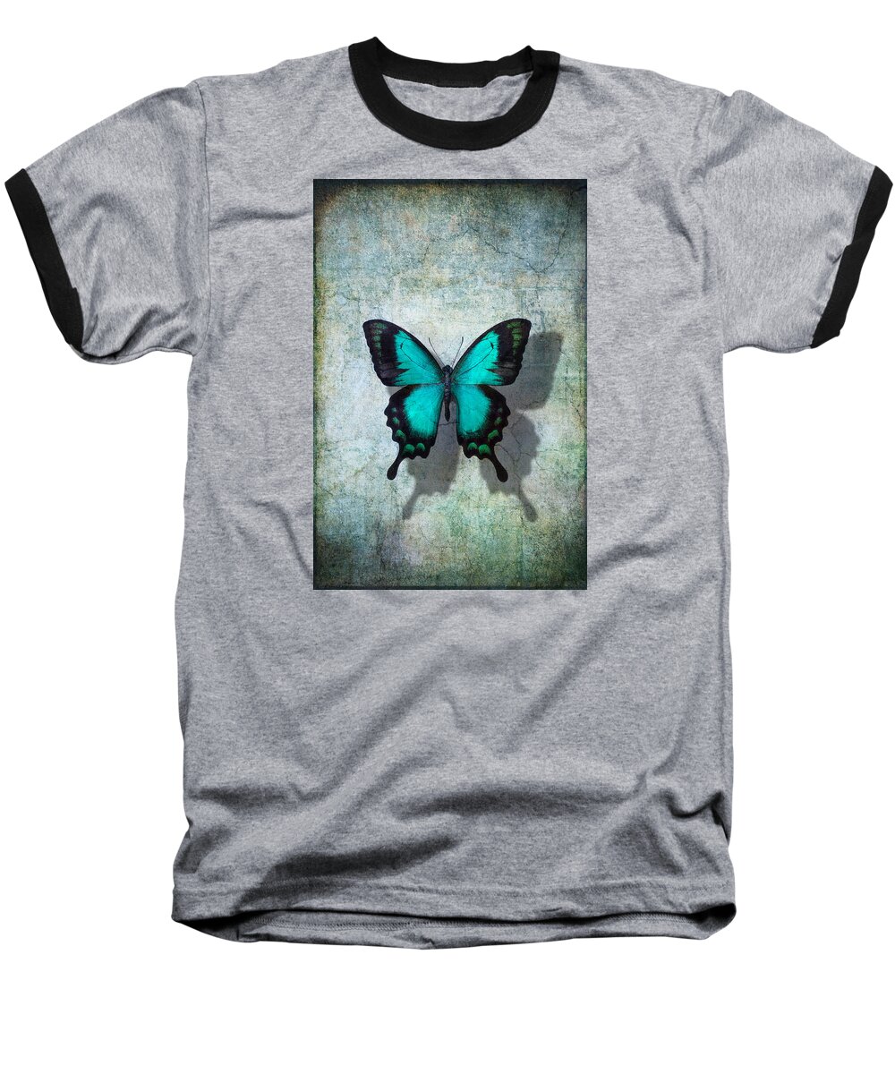 Still Life Baseball T-Shirt featuring the photograph Blue Butterfly Resting by Garry Gay