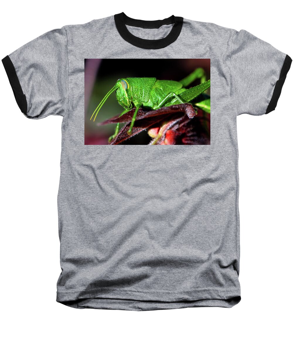 Macro Baseball T-Shirt featuring the photograph Blue Eyed Green Grasshopper 001 by George Bostian