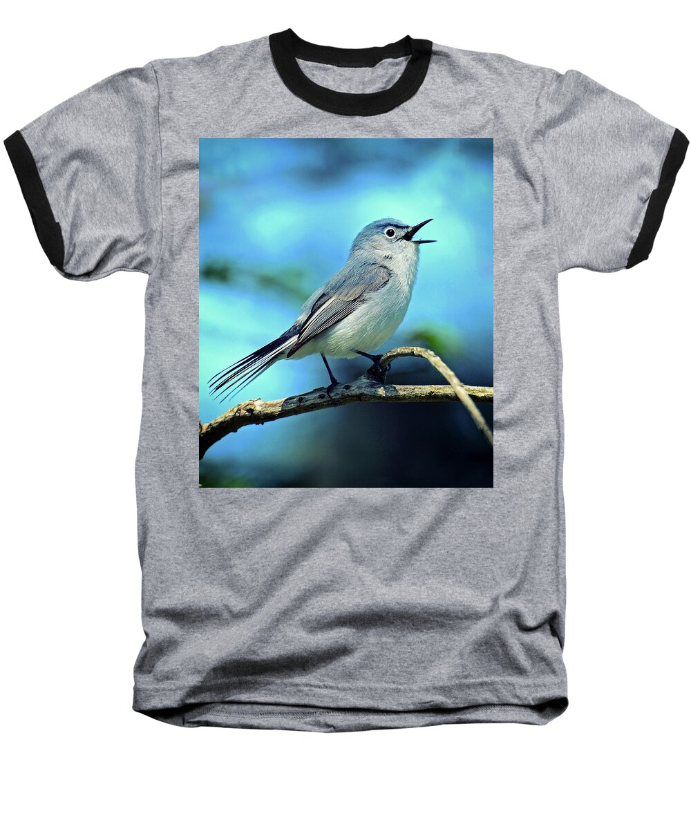Bird Baseball T-Shirt featuring the photograph Blue-gray Gnatcatcher by Rodney Campbell