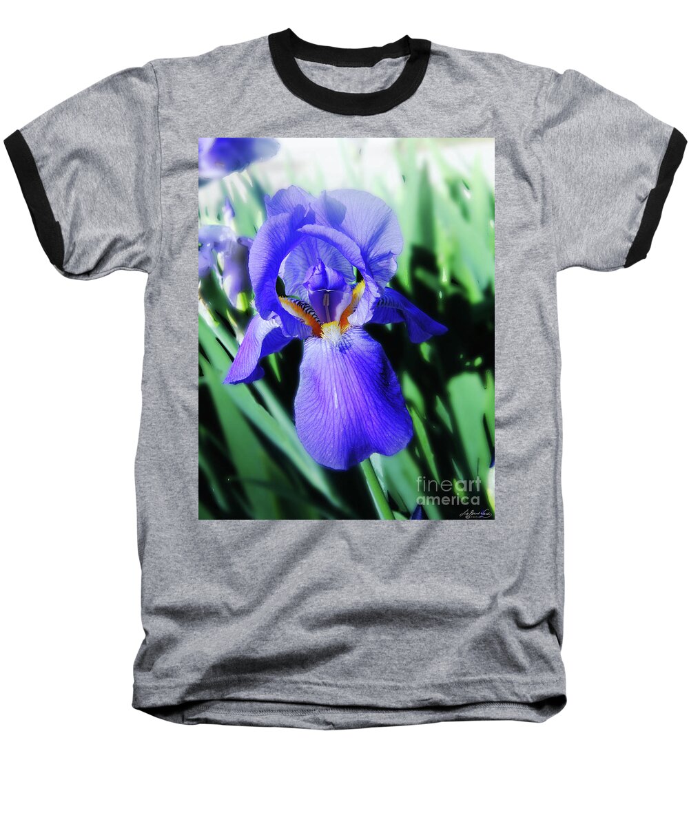 Iris Baseball T-Shirt featuring the photograph Blue Iris 2 by Lizi Beard-Ward