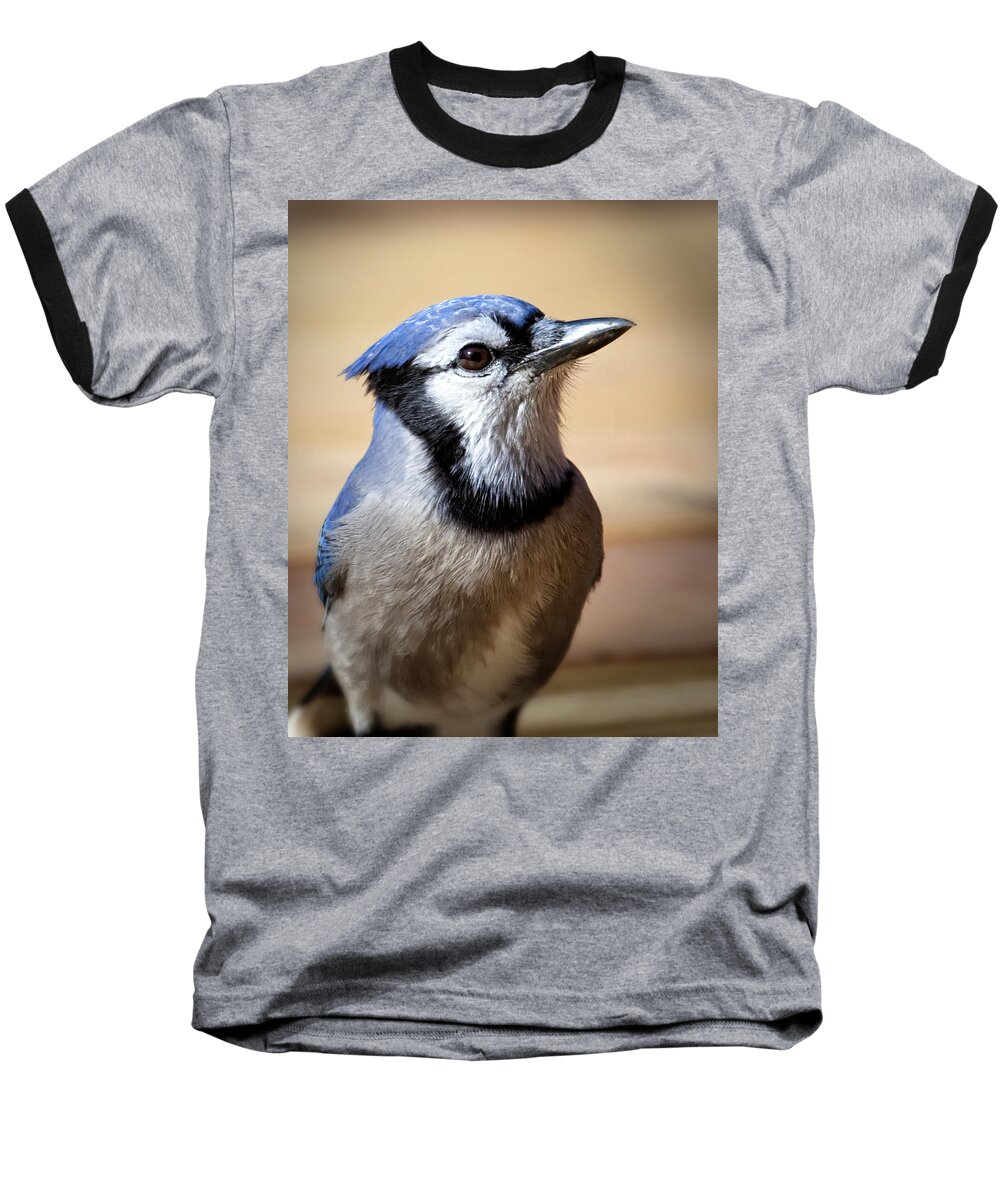 Blue Jay Baseball T-Shirt featuring the photograph Blue Jay Portrait by Al Mueller