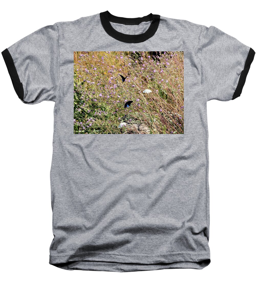Butterfly Baseball T-Shirt featuring the photograph Blue Ridge Butterflies 4 by Matt Sexton