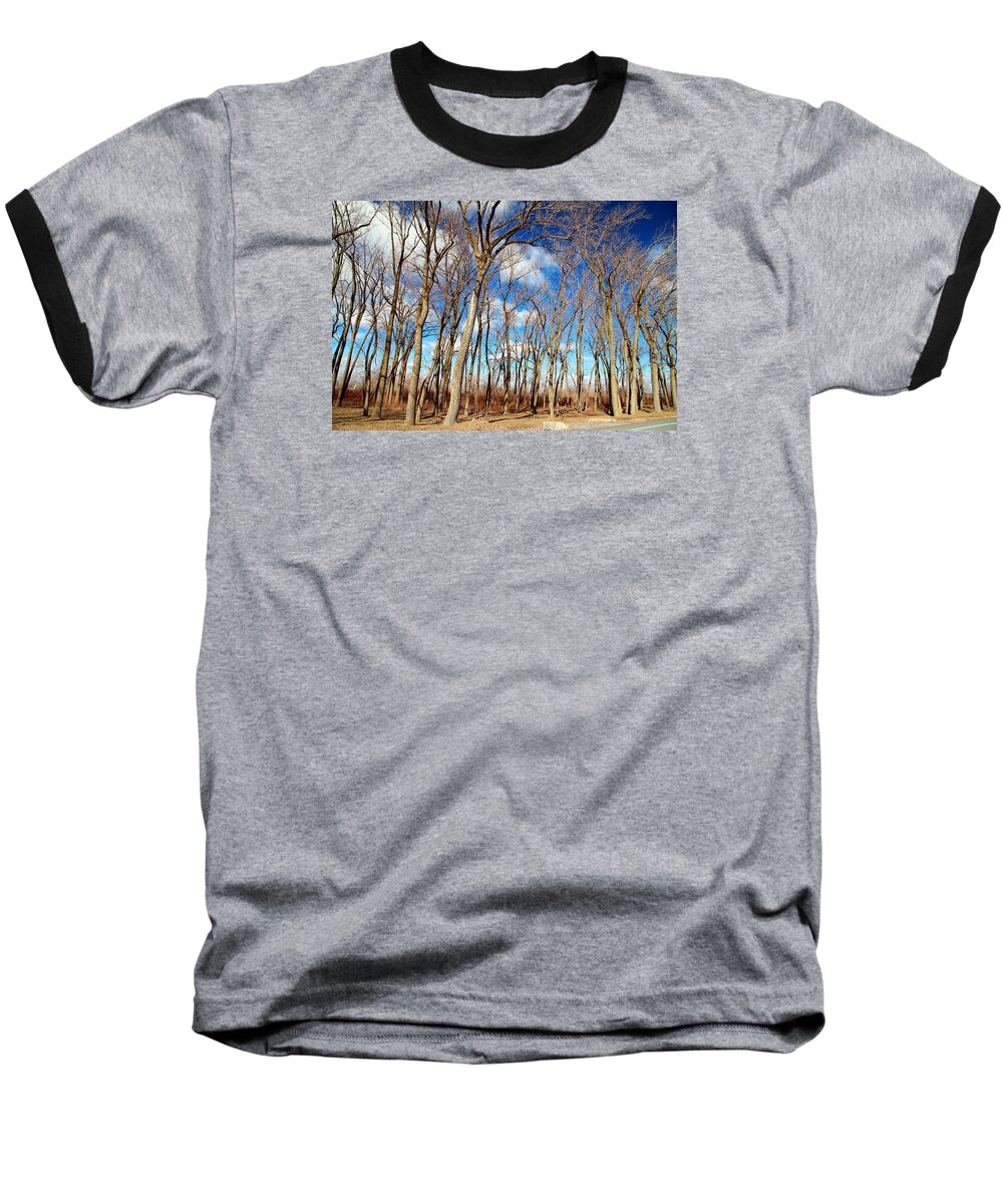 Winter Baseball T-Shirt featuring the photograph Blue Sky and Trees by Valentino Visentini