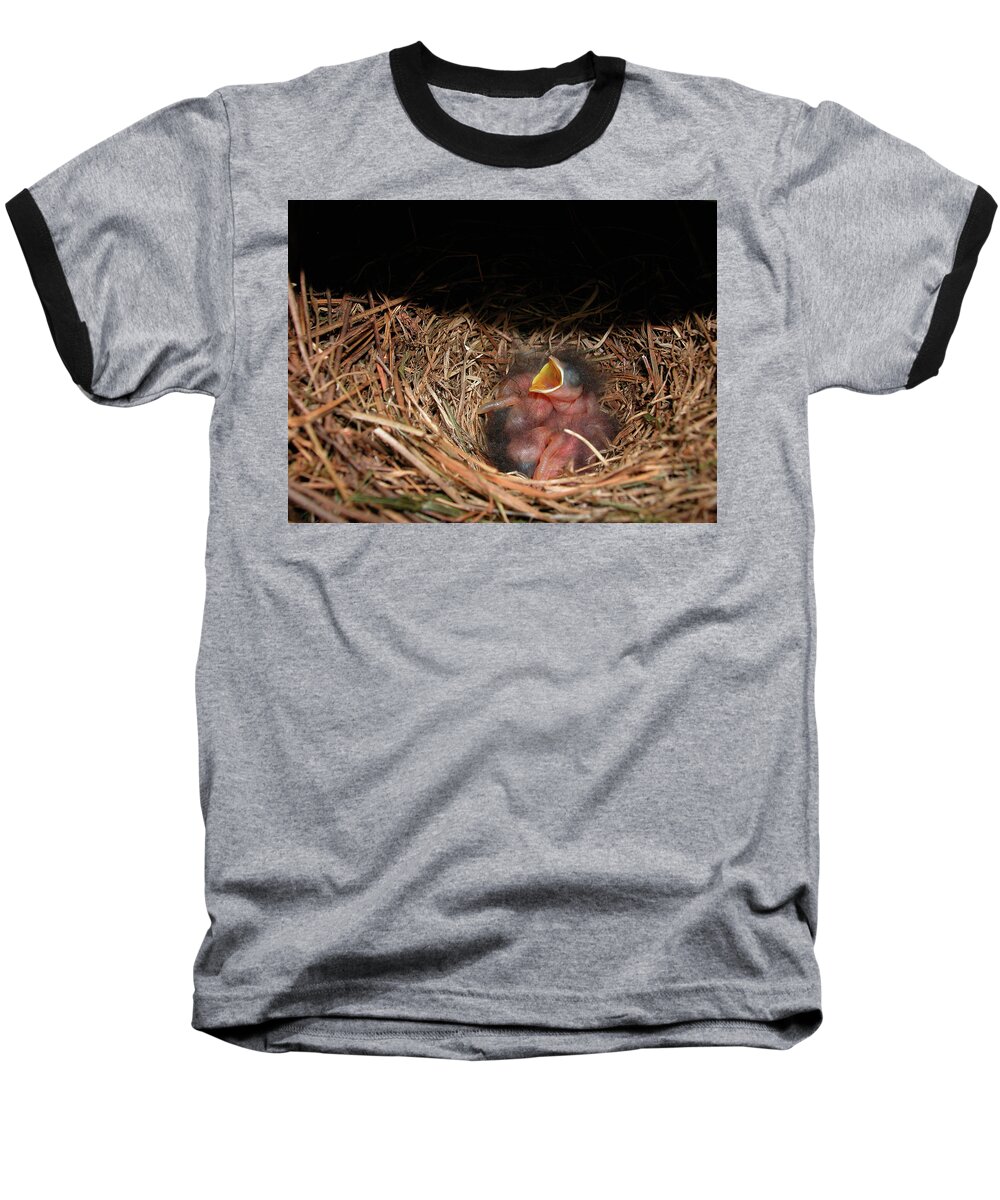 Baby Baseball T-Shirt featuring the photograph Bluebird Babies by Marie Hicks