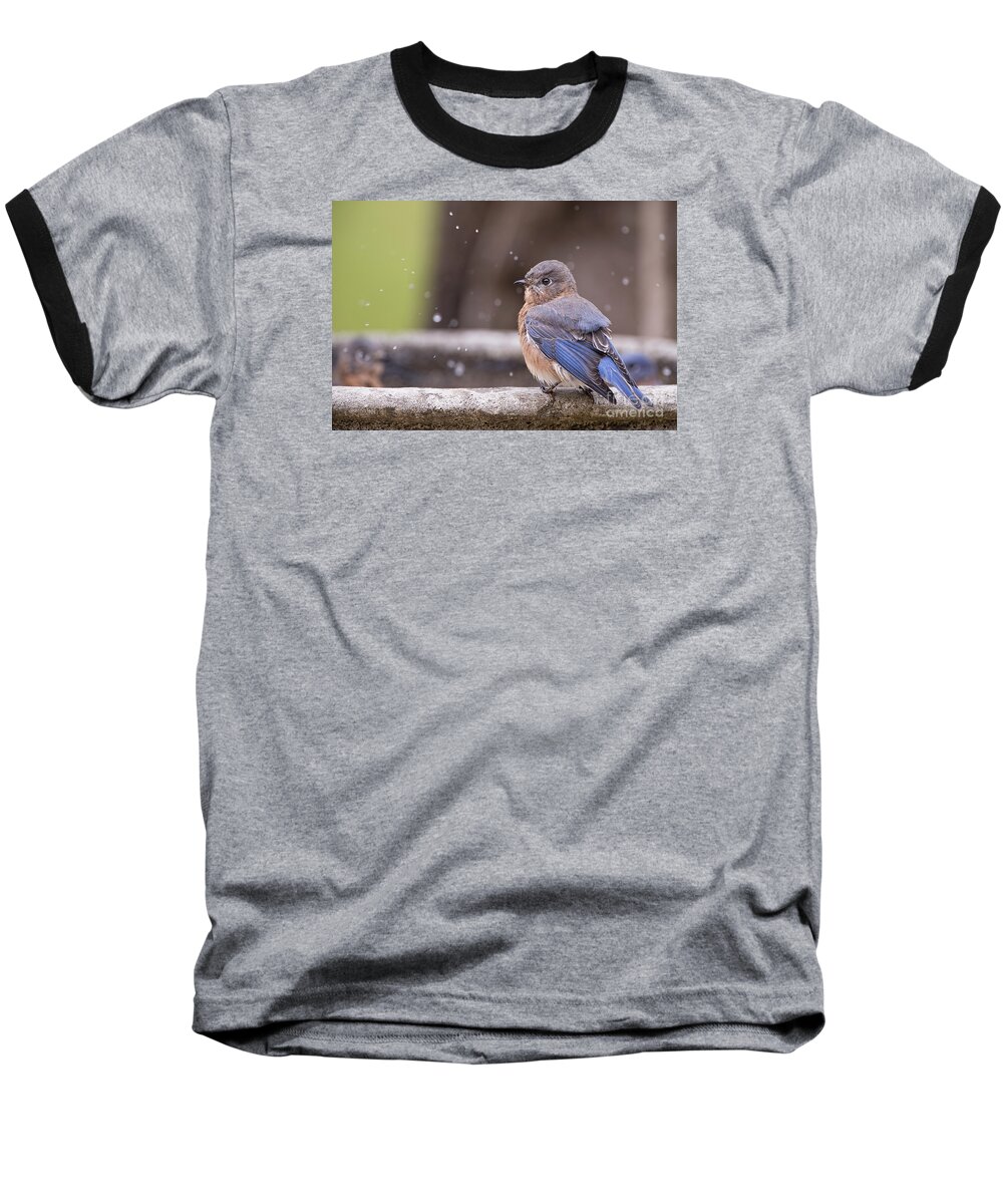 Bluebird Baseball T-Shirt featuring the photograph Bluebird Bubble Bath by Bonnie Barry