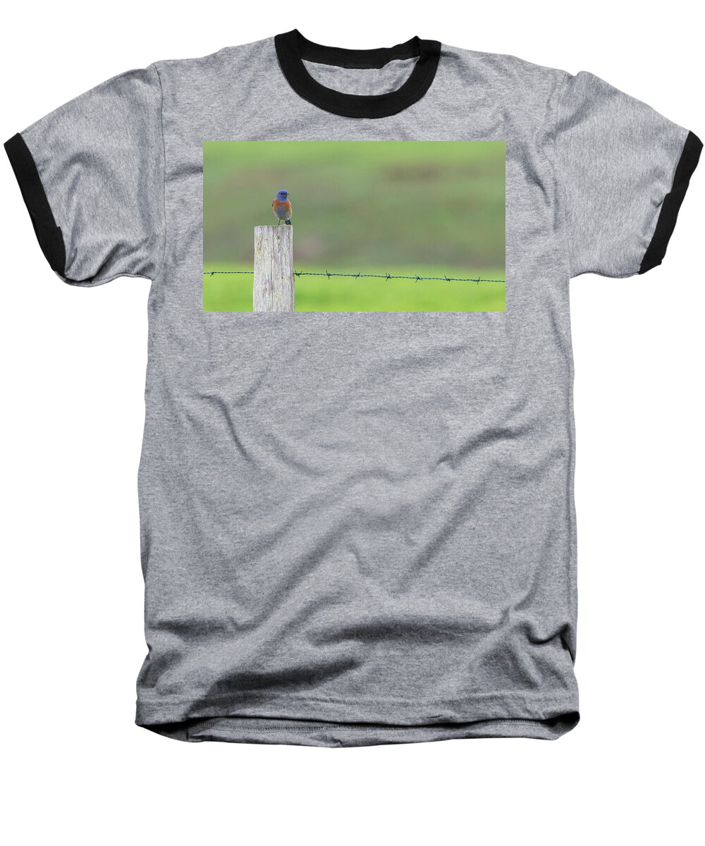 Pt Reyes 2015 3 Baseball T-Shirt featuring the photograph Blues by Kevin Dietrich