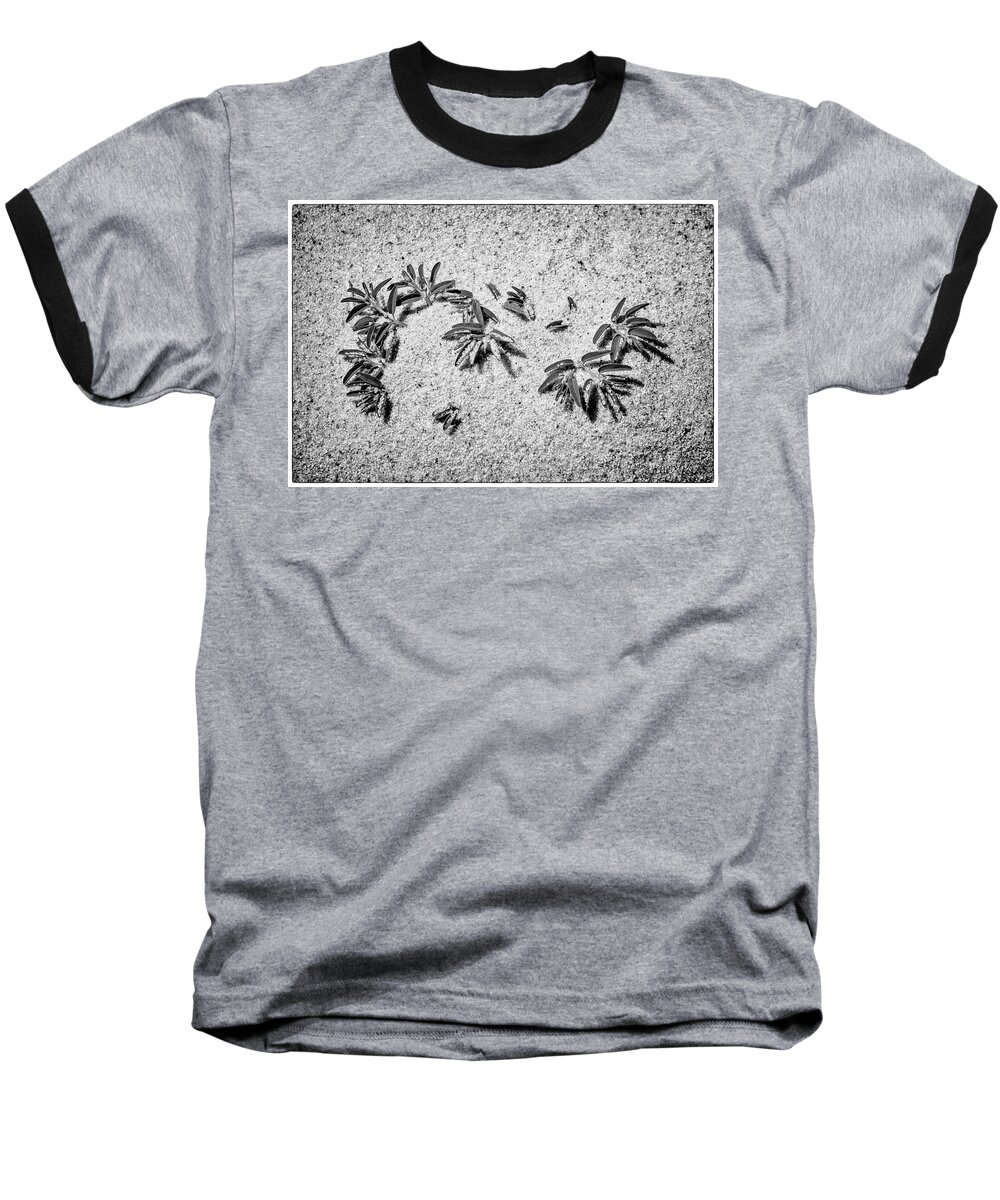 Sun Baseball T-Shirt featuring the photograph Bodhisattva by Frank Winters