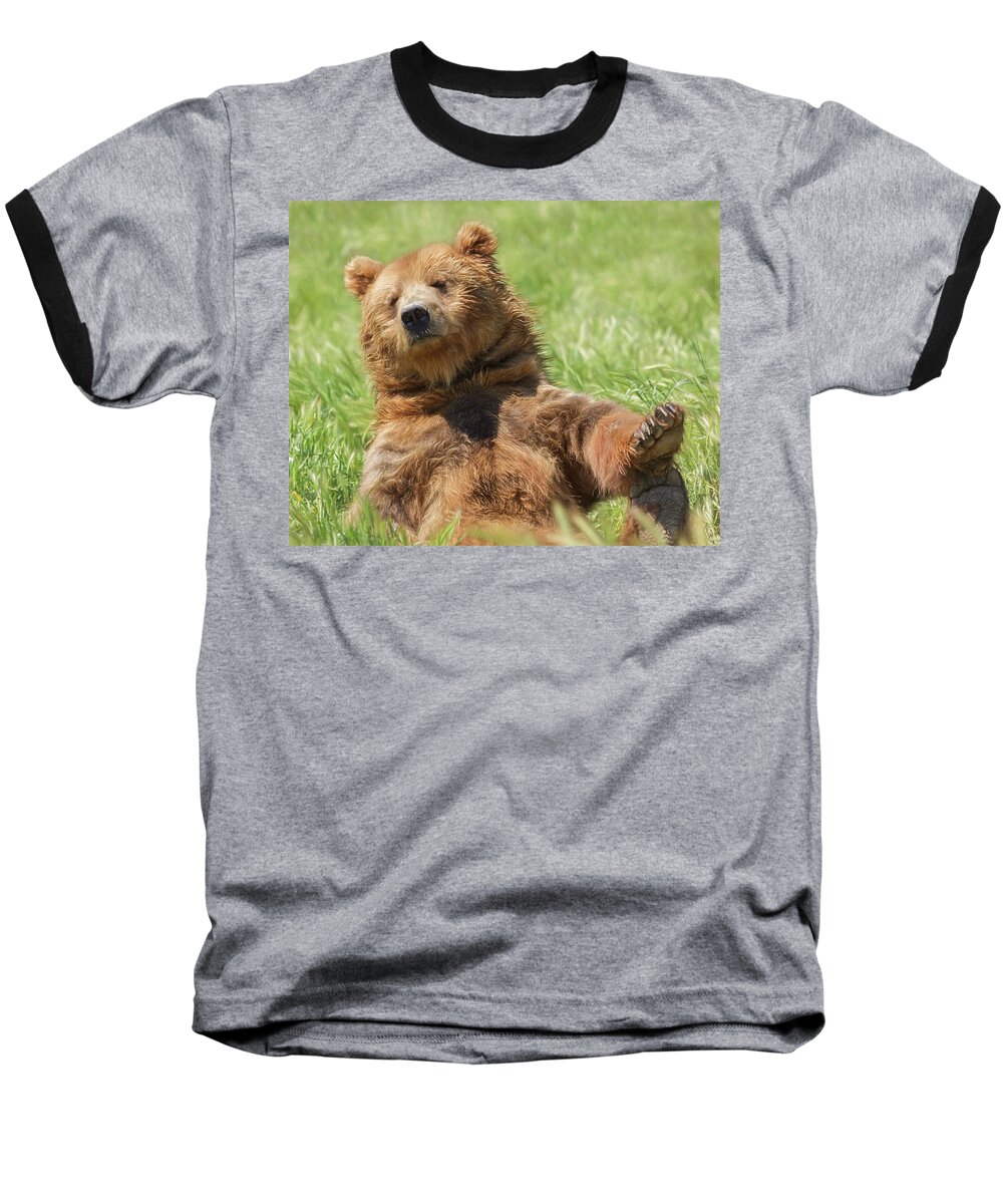 Boo Boo Bear Baseball T-Shirt featuring the photograph Boo Boo Bear by Wes and Dotty Weber