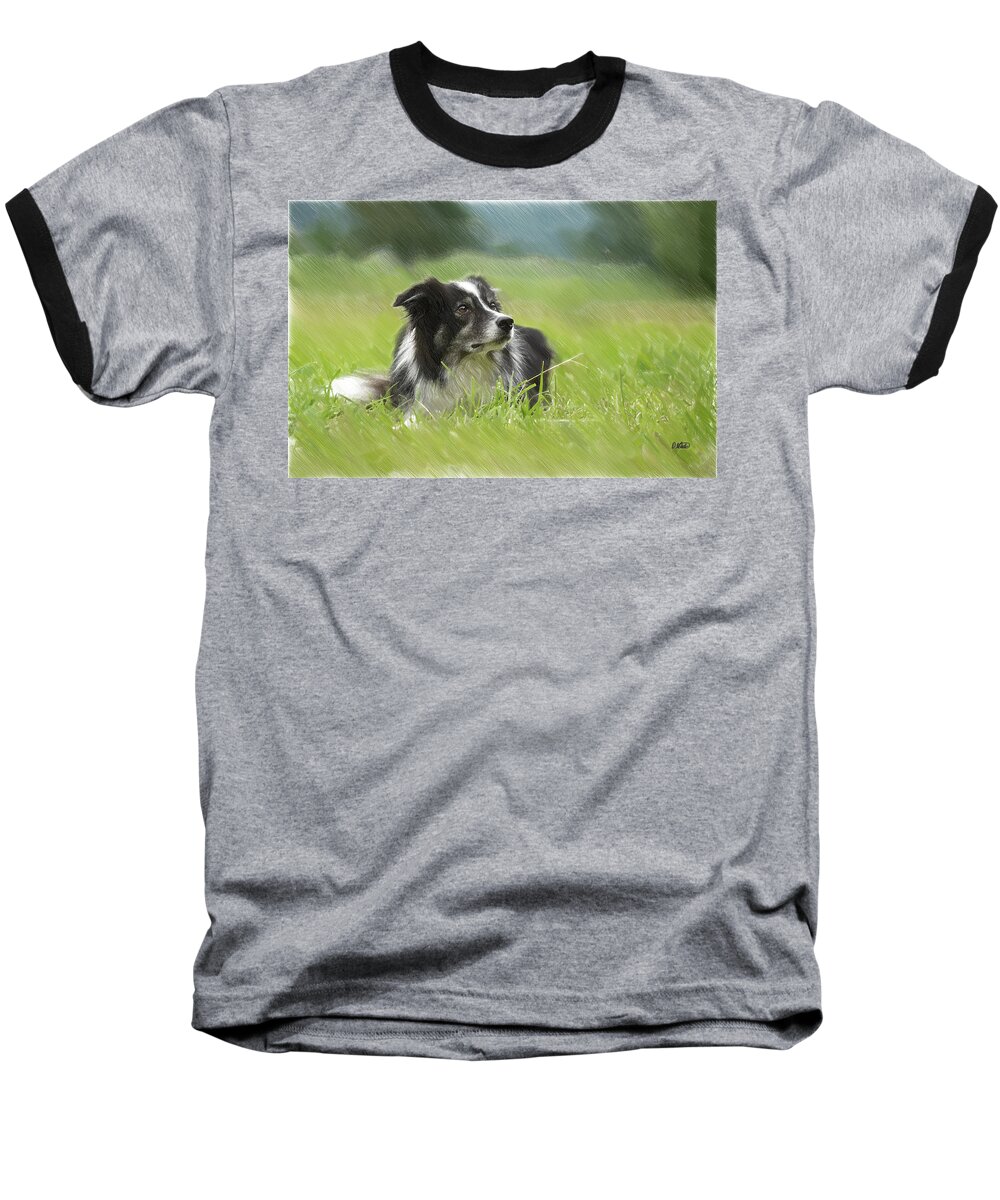 Portrait Baseball T-Shirt featuring the drawing Border Collie - DWP2189332 by Dean Wittle