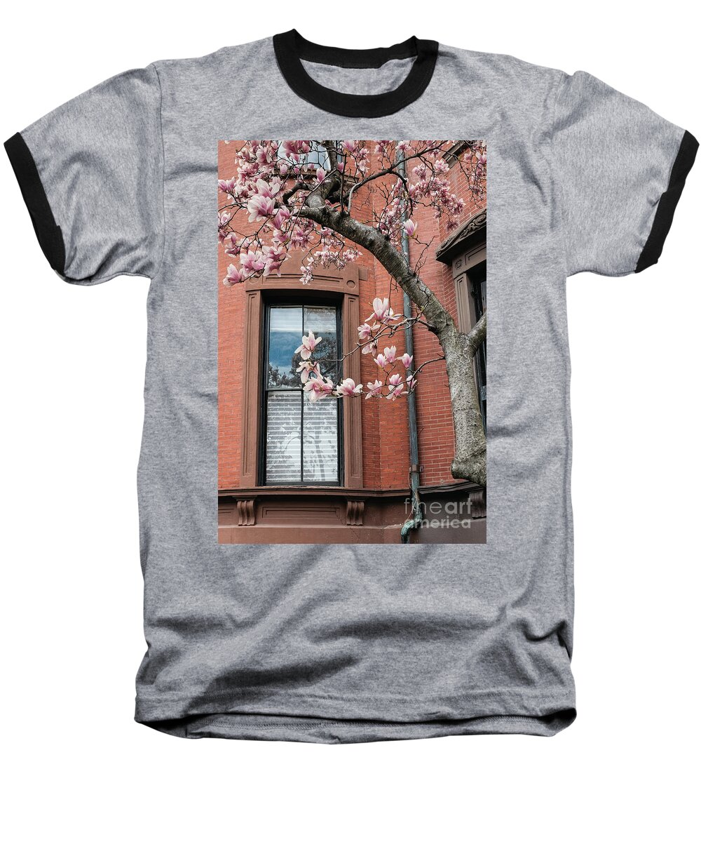 April Baseball T-Shirt featuring the photograph Boston Back Bay Magnolias by Edward Fielding