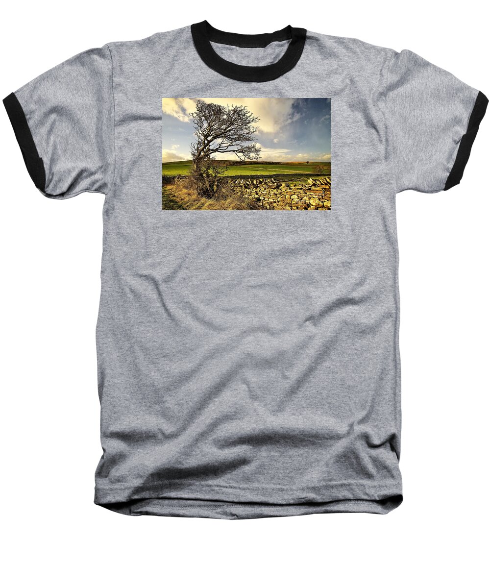 Tree In Winter Baseball T-Shirt featuring the photograph Bowing to the Wind by Martyn Arnold